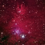 NGC2264 Christmas Tree Cluster HaRGB