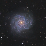M74 with Supernova LRGB