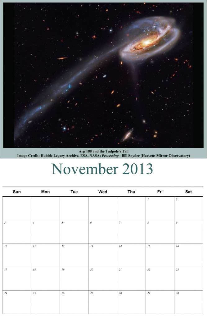 Apod-Calendar-Tadpole-image-for-webpage